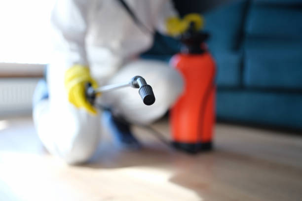 Reliable Riverbend, WA Mold Removal Solutions