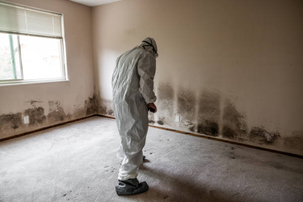 Best Crawl Space Mold Remediation  in Riverbend, WA